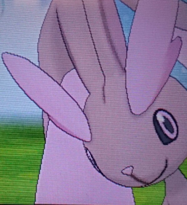 色違いミミロップ 徒然 もえ日和