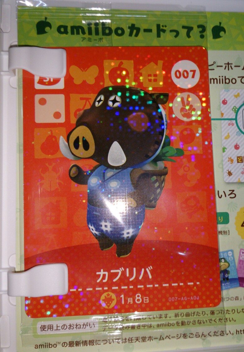 どうぶつの森 ハッピーホームデザイナー 徒然 もえ日和 どうぶつの森 ハッピーホームデザイナー 徒然 もえ日和