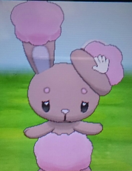 色違いミミロル ポケパルレ編 徒然 もえ日和