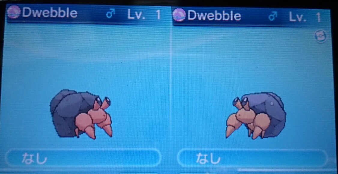 色違いイシズマイゲット 徒然 もえ日和 色違いイシズマイゲット 徒然 もえ日和