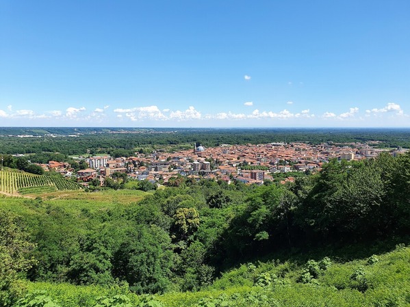 vigna2
