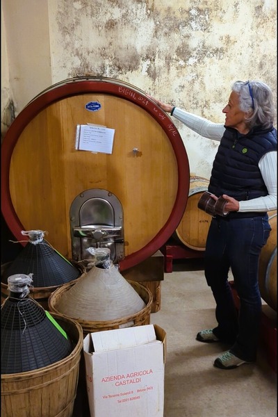 �ե���������