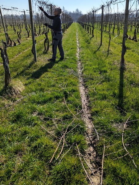 �ߤΥ֥ɥ�Ȫ��