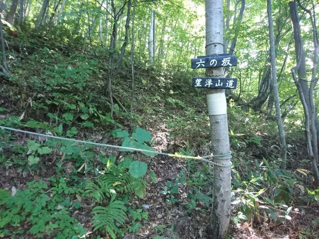 左足首の違和感で撤退の寺口山 三角山トレイル 9 7 拓道館