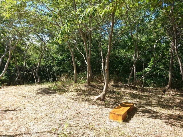 左足首の違和感で撤退の寺口山 三角山トレイル 9 7 拓道館
