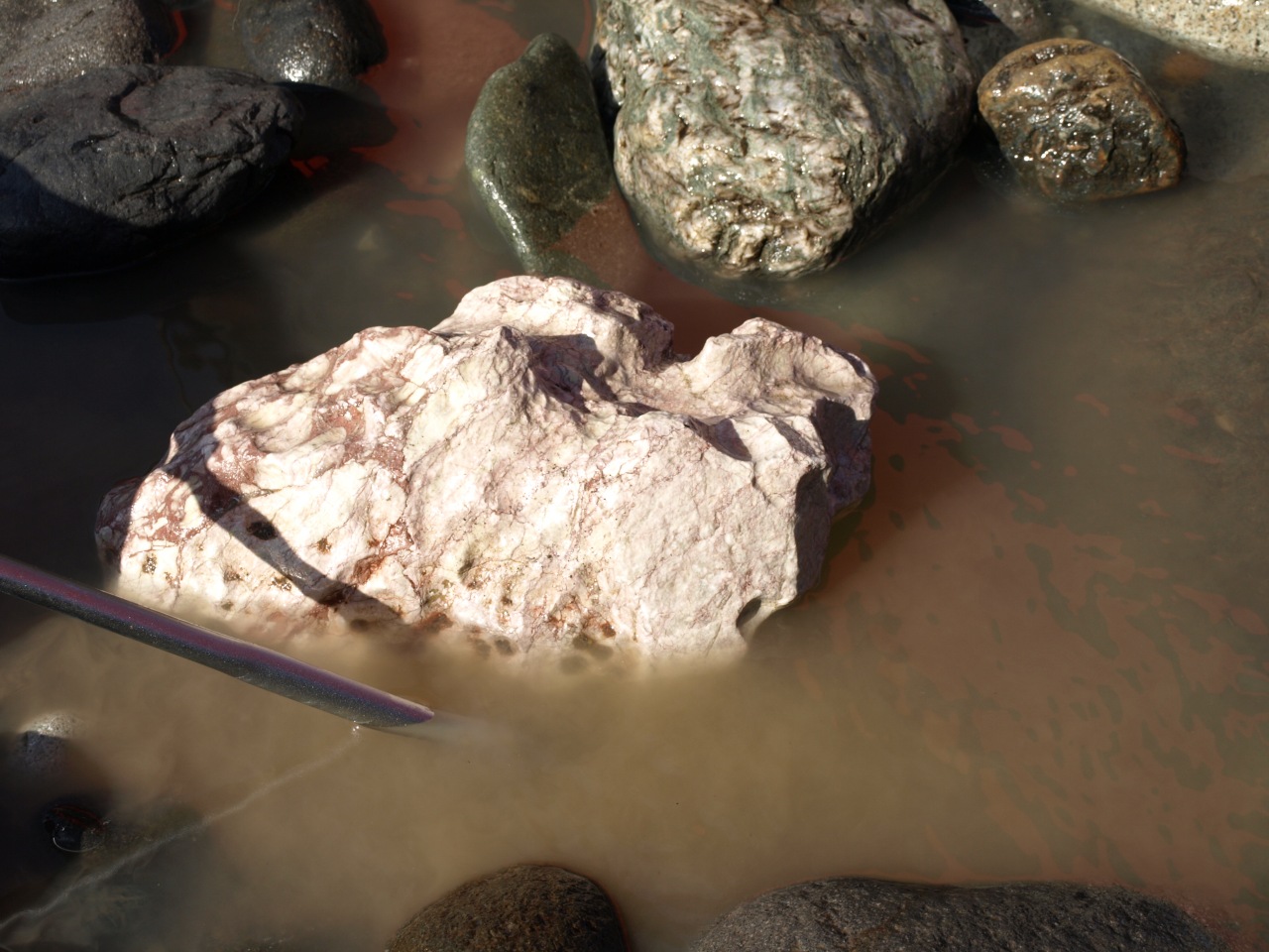 一人で姫川探石＆FMMで鑑別していただいた : 富山で眠る人のブログ