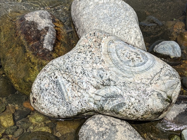 富山県　常願寺川産　ナポレオン石　42.5キロ　庭石　鑑賞石　石　置物　オブジェ 富山県 常願寺川産 ナポレオン石 42.5キロ 庭石 鑑賞石 石 置物