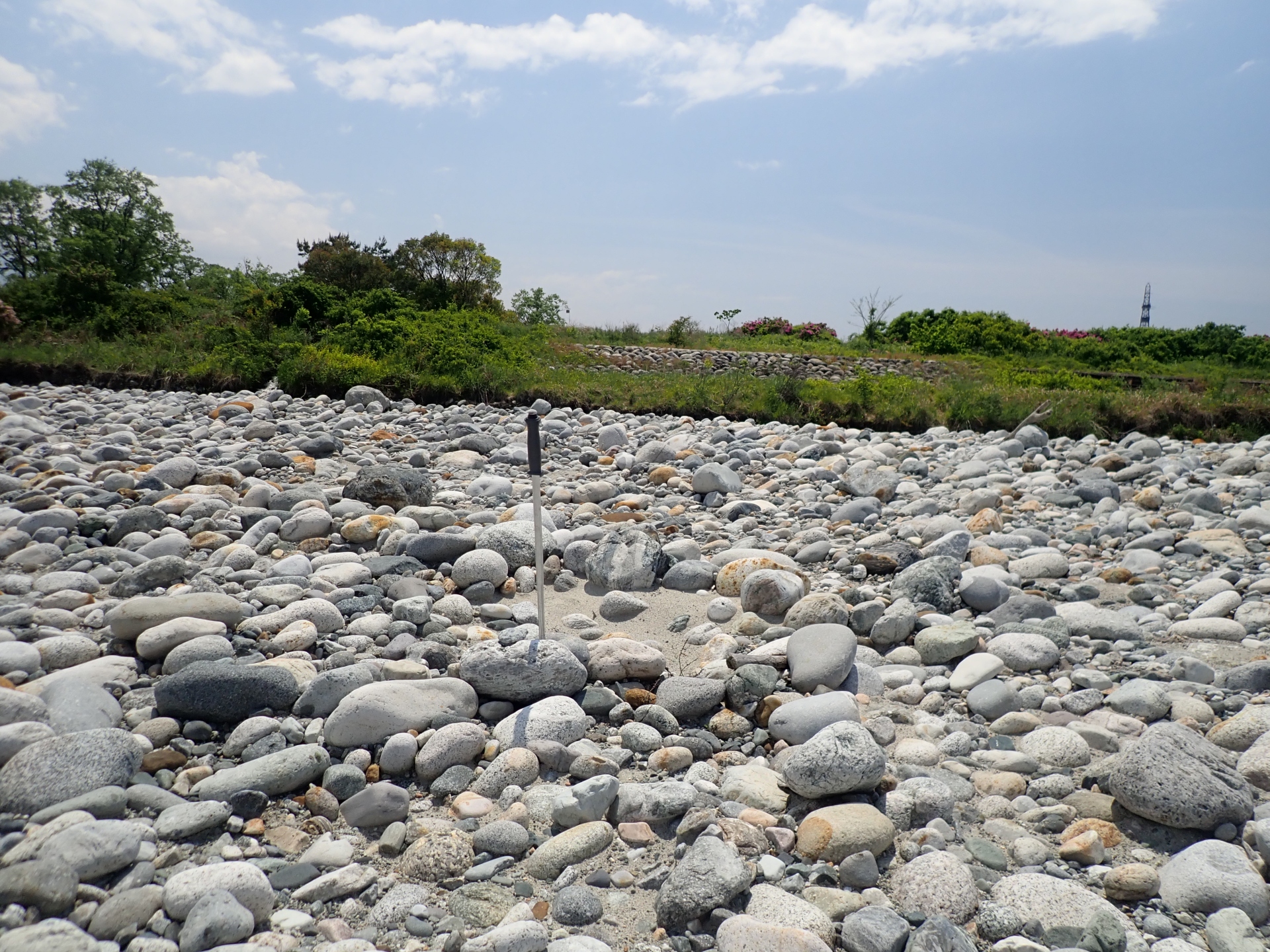 黒部川探石 19年05月16日 富山で眠る人のブログ