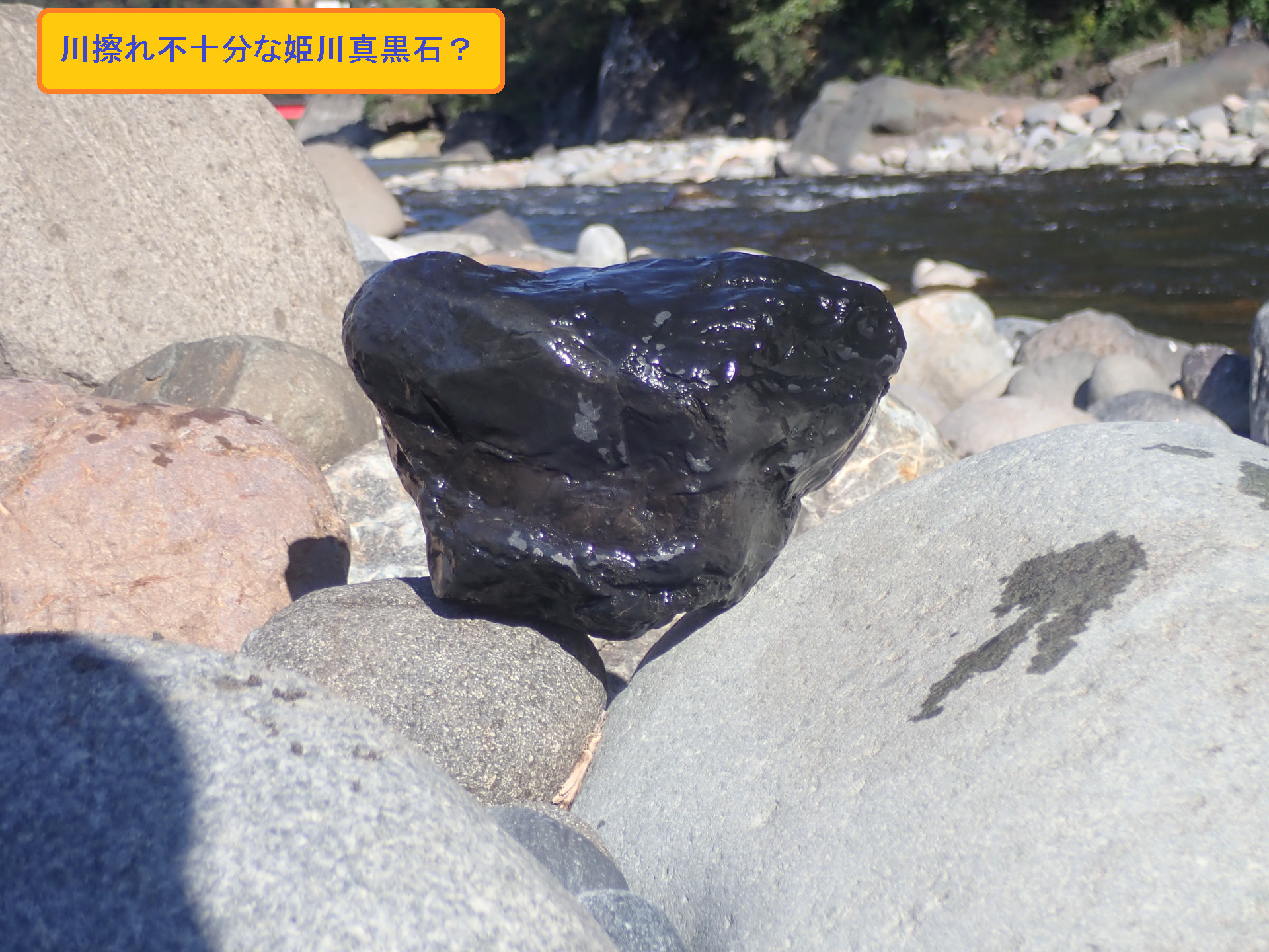 加茂真黒石 Casa 