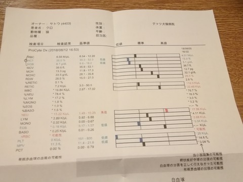 IMG_20180816_202657