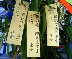 200907071631000