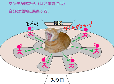 退避場所８９ｗｑ