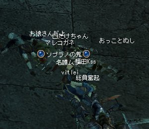 080305l.jpg