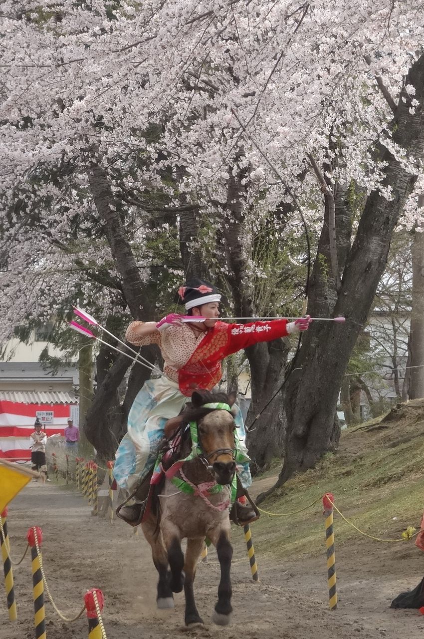 女子だって 流鏑馬します 流鏑馬おっかけレポート 現実逃避な日々