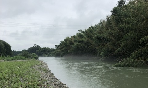 20200728_000123174_iOS