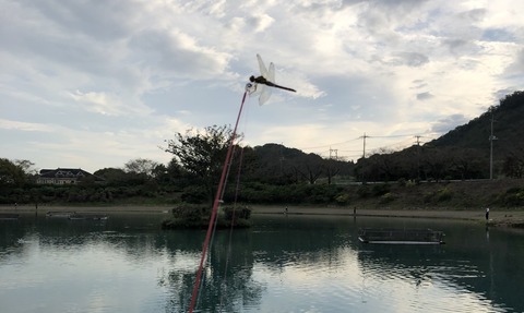 20191008_070324262_iOS