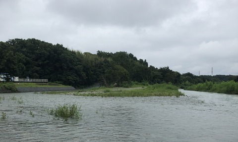 20200728_005233559_iOS
