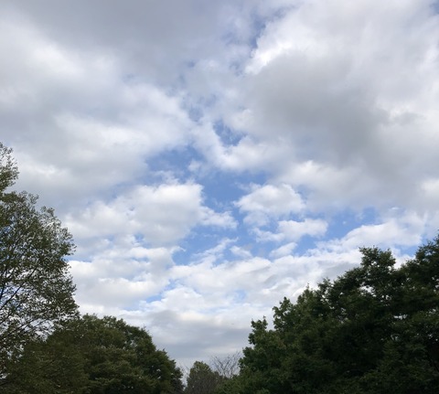 20201006_062903828_iOS