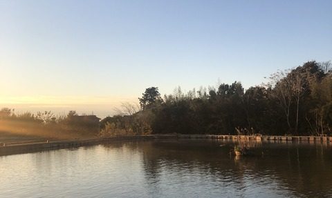 20201130_215706400_iOS