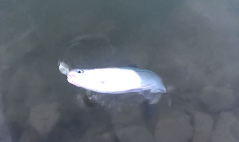 20210223_211029572_iOS 1