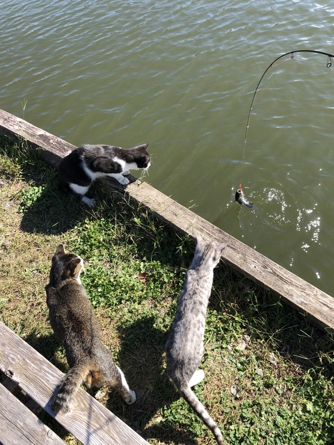 20191009_001457209_iOS