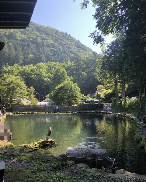 20190625_231454226_iOS