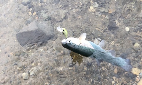 20191028_234746707_iOS
