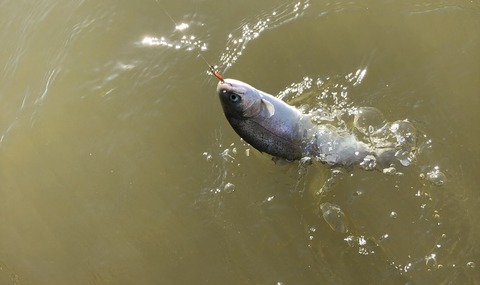 20201201_011500730_iOS