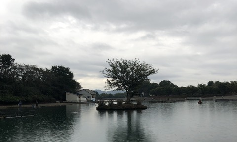 20200922_210236107_iOS