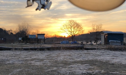 20201228_220236147_iOS