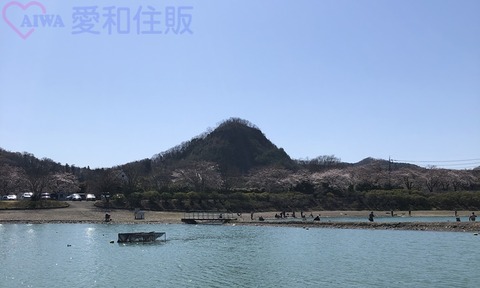 20200325_042357431_iOS