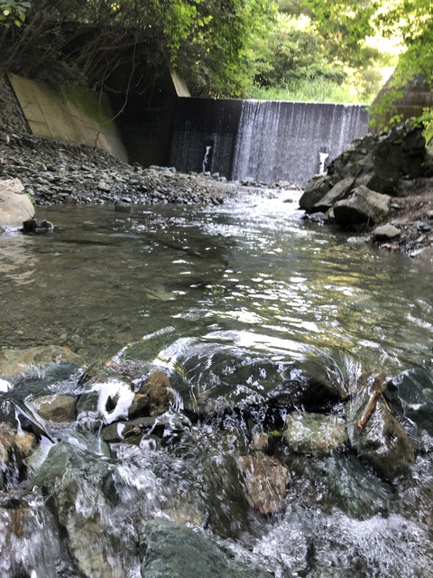 20200815_061554964_iOS