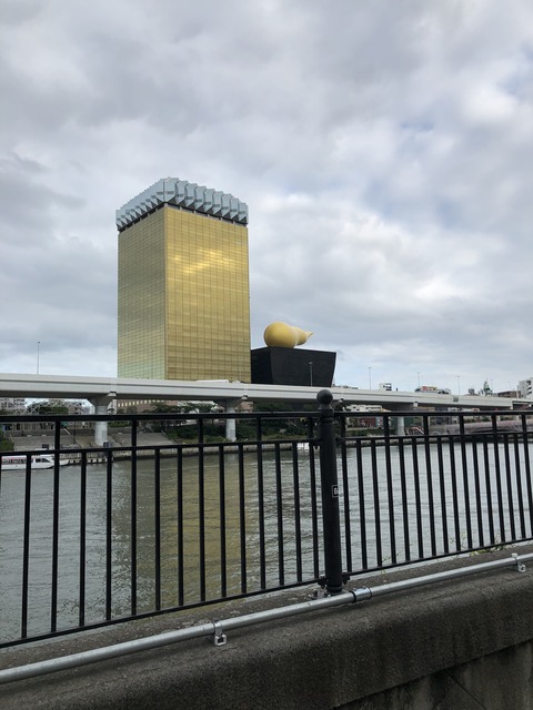 20190710_075616308_iOS