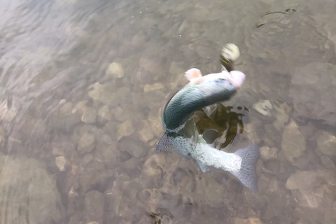 20210518_062415197_iOS
