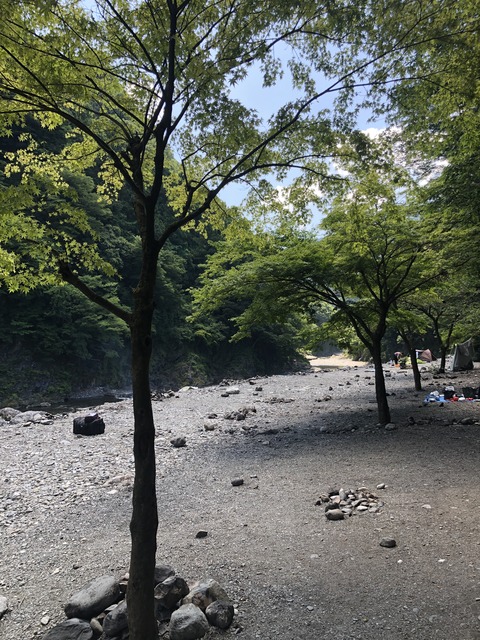 20210609_011825648_iOS