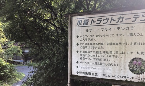 20190625_224733913_iOS