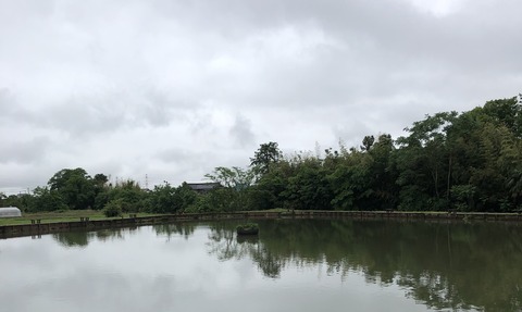20190521_053208471_iOS