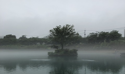 20190701_213528907_iOS