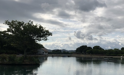 20190617_224009841_iOS