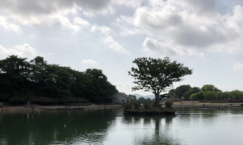20190519_230401562_iOS