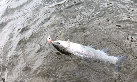 20190424_002428787_iOS