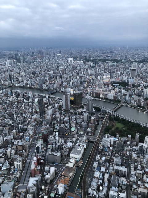 20190710_095030151_iOS