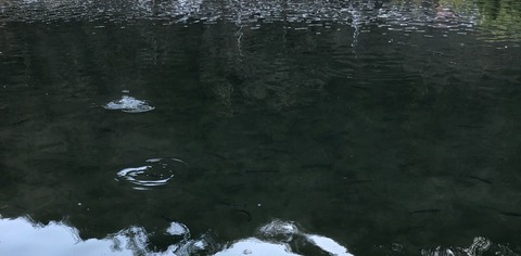 20190103_050546685_iOS