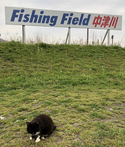 20190423_221728547_iOS
