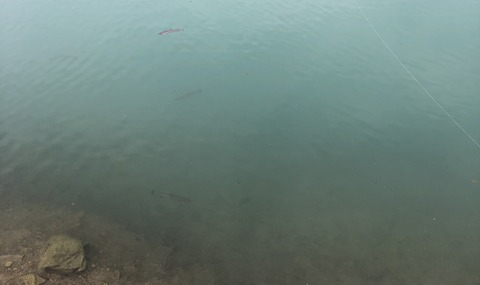 20190604_075013106_iOS