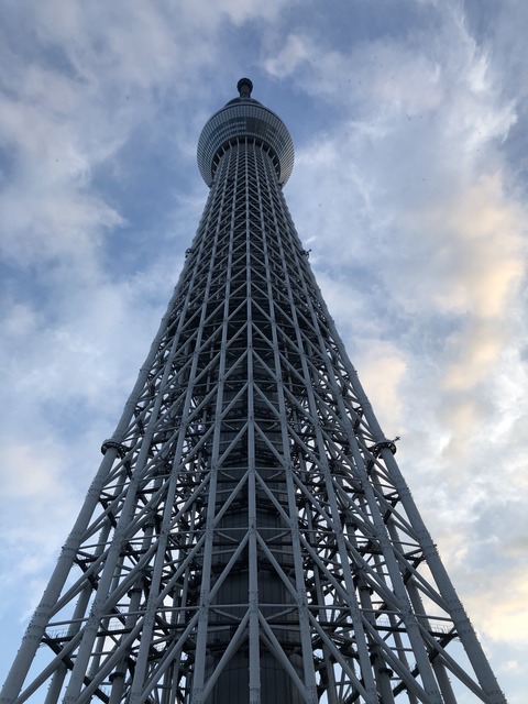 20190710_093009692_iOS