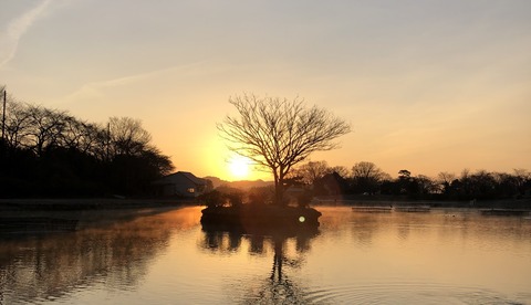 20190114_221154104_iOS
