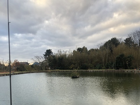 20211206_223131847_iOS