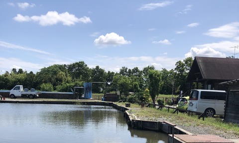 20190611_040826791_iOS