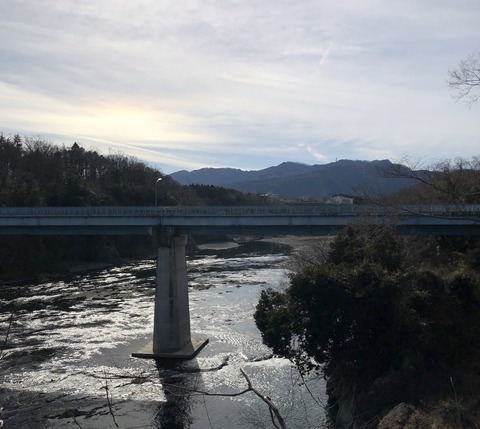 20210210_044247214_iOS